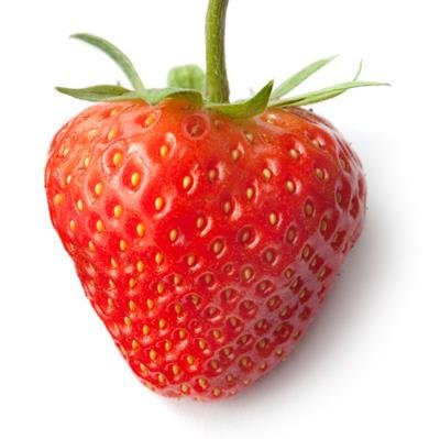 Strawberry.jpg