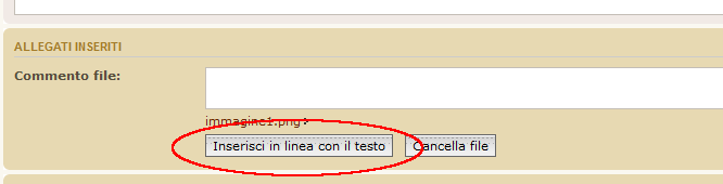 allegati_in_linea.png