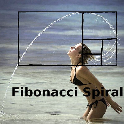 fibonacci_spiral.jpg